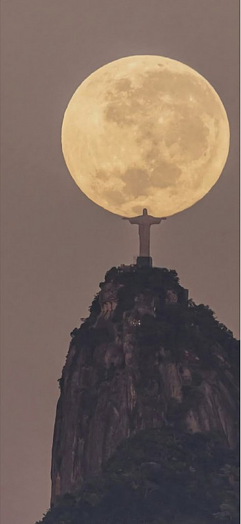 Retrouver nos racines 