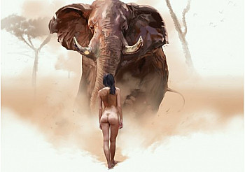 Qui pour Sauver les éléphants ?