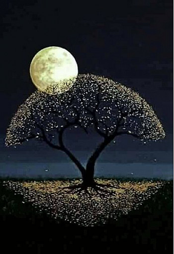 Aux Arbres Avec Les Etoiles Résister c créer créer c résister