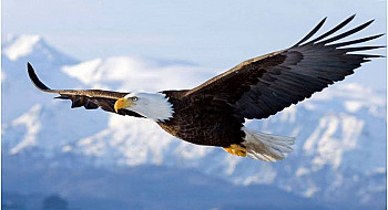 La liberté fait peur