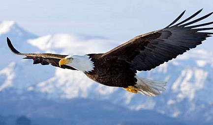 La liberté fait peur